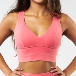 Buffbunny Alpha Sports Bra- Medium